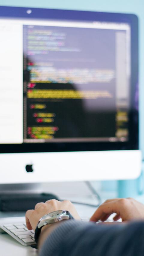 Professional software developer writing code